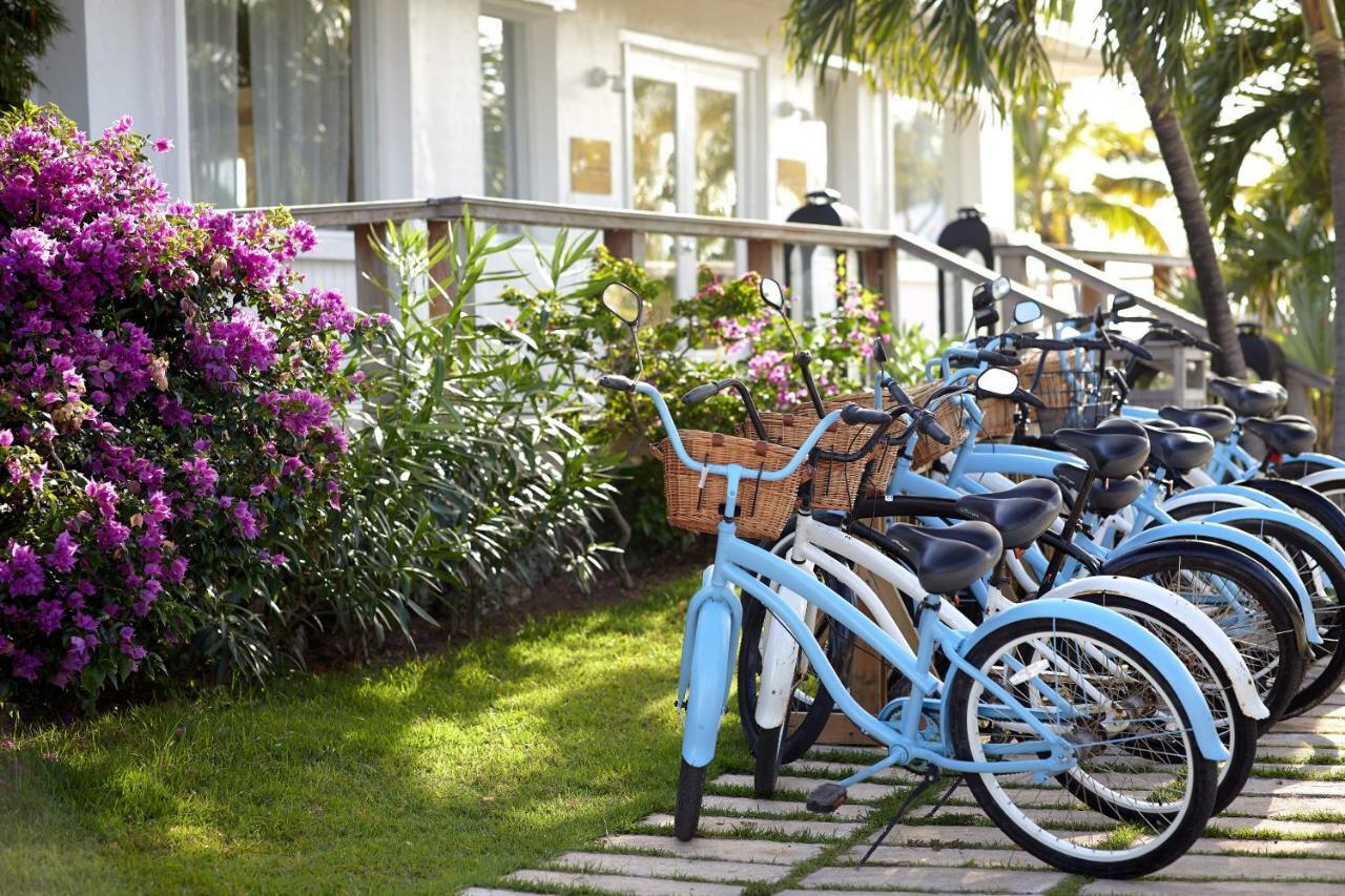 The Cove Eleuthera Gregory Town Exteriör bild